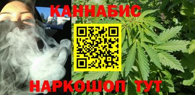 шишки Аргун
