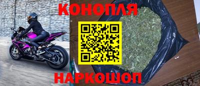 шишки Аргун