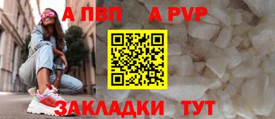 шишки Аргун
